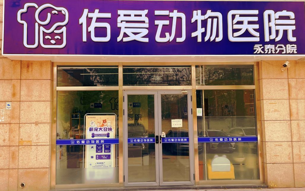 佑爱动物医院猫住院部
