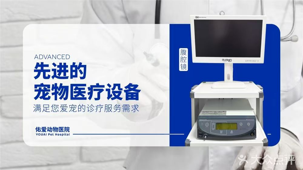内窥镜/腹腔镜